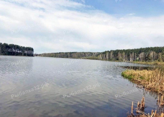 Романовский пруд