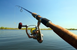 Чемпионат Орловской области по рыболовному спорту (ловля спиннингом с берега)
