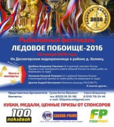 Фестиваль  «Ледовое побоище 2016»