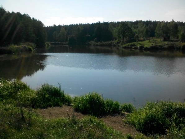 Гастенка